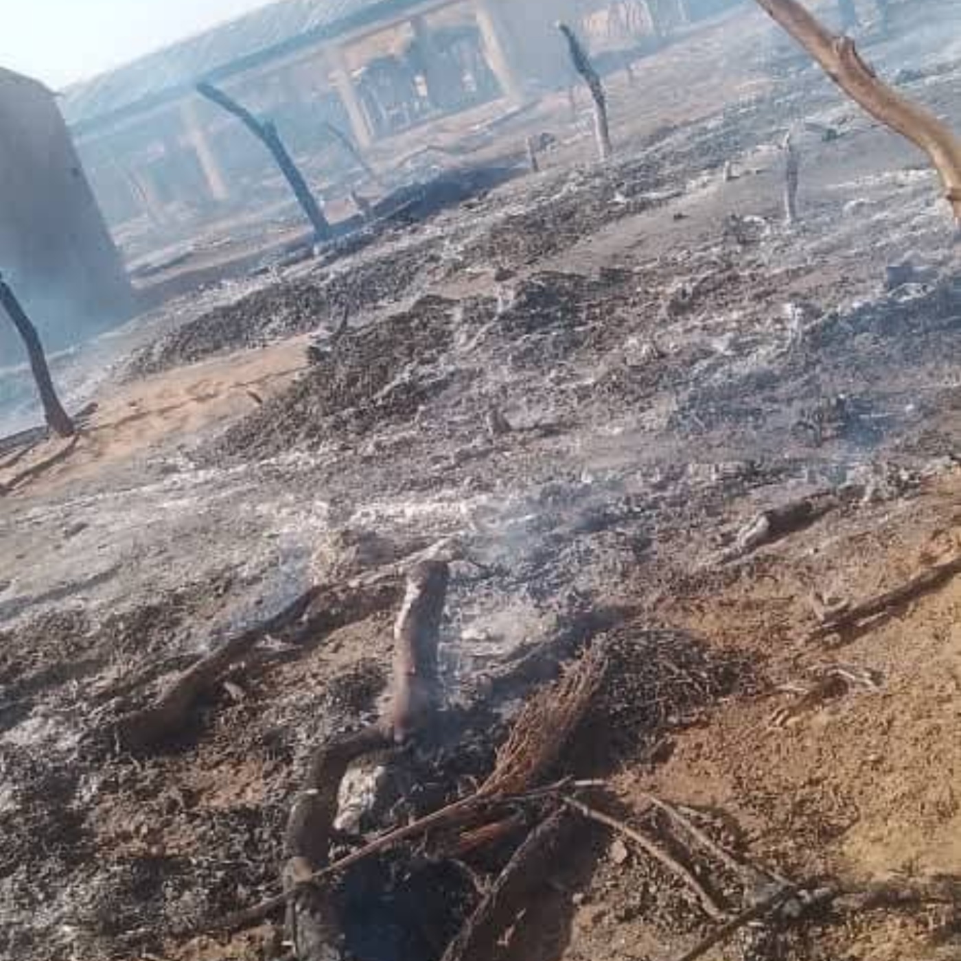 Fire razes two markets in Yobe.jpg