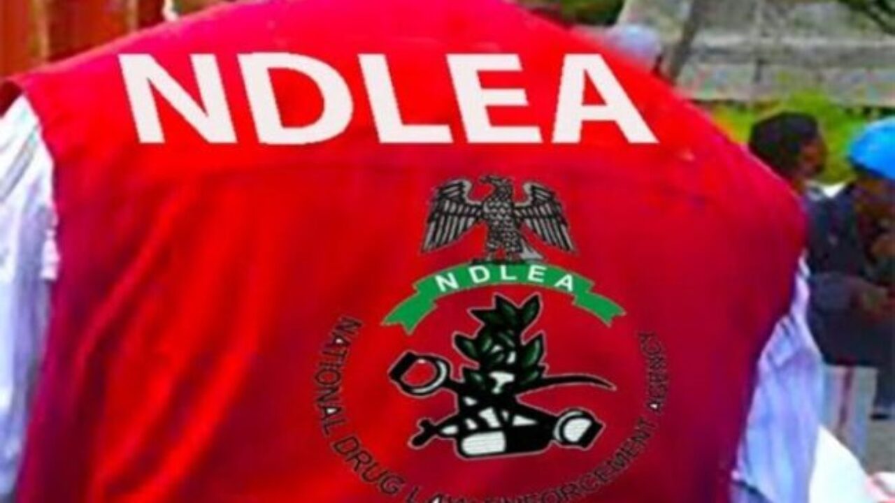 NDLEA 1.jpg