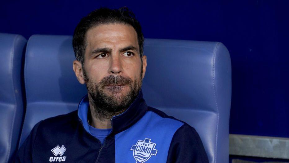 Cesc Fabregas.jpg
