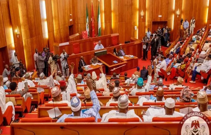Senate Nigeria 2.jpg