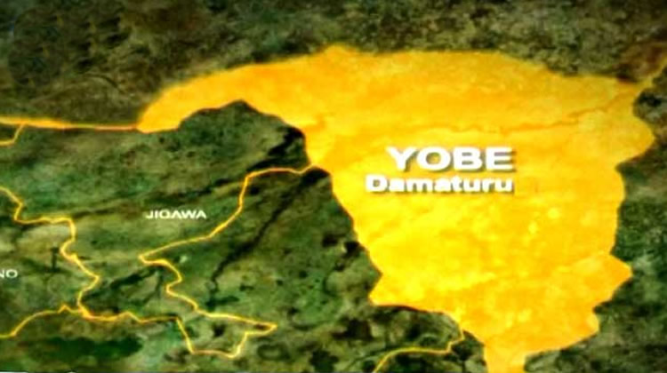Yobe State map 1.jpg