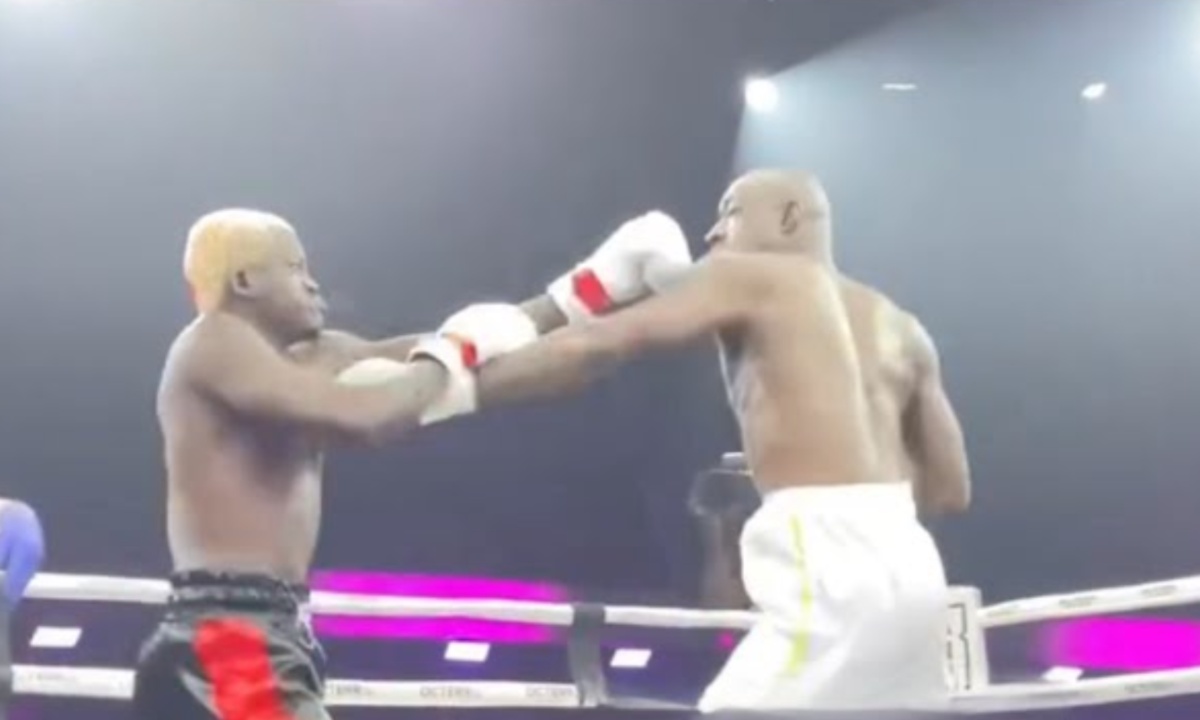 Celebrity boxing.jpg