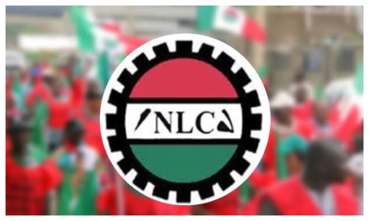 NLC.jpg