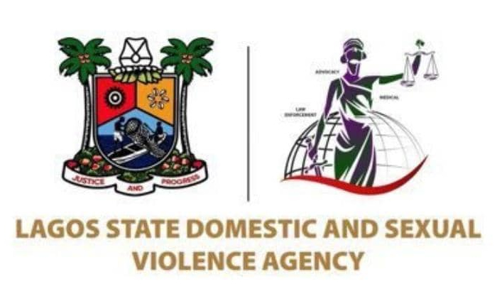 Dsva BIG logo.jpg