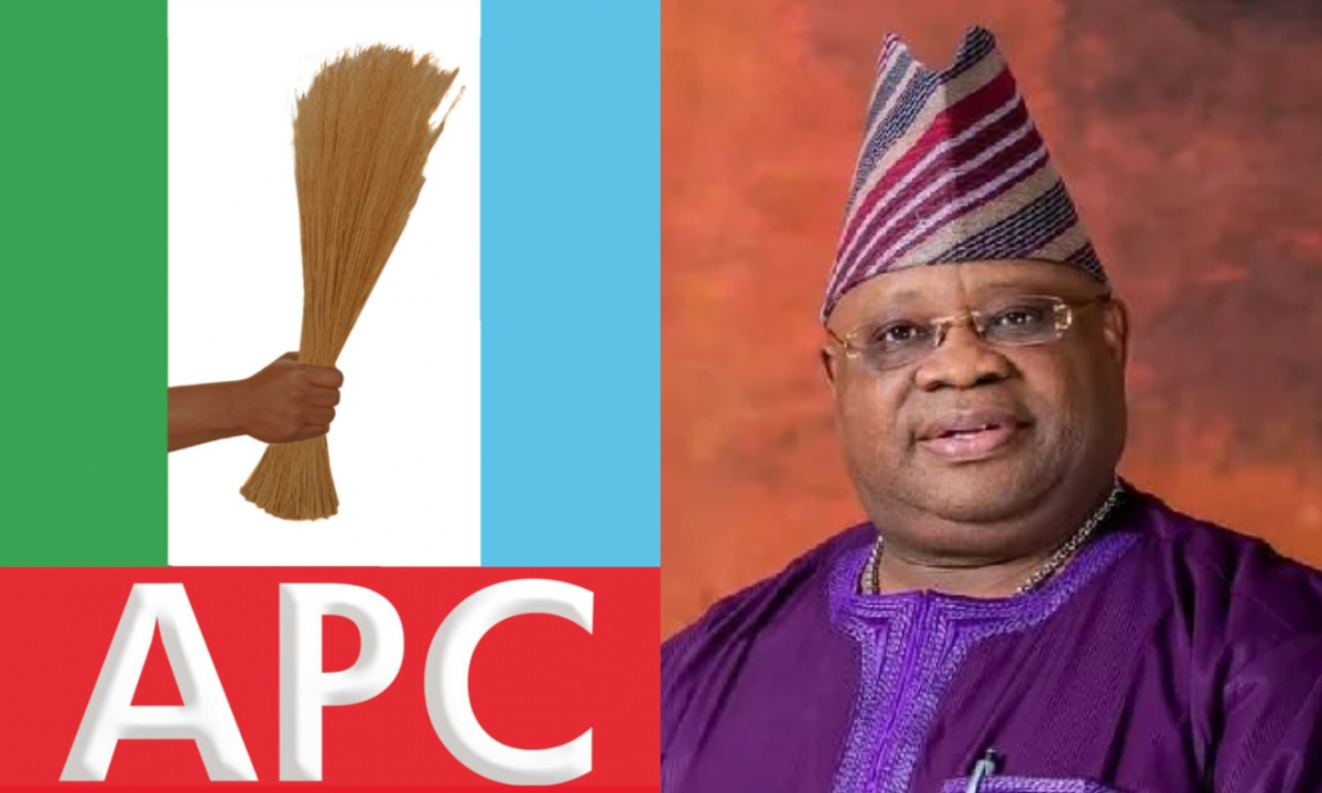 Ademola adeleke .jpg