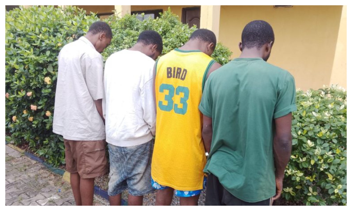Police arrest 4.jpg