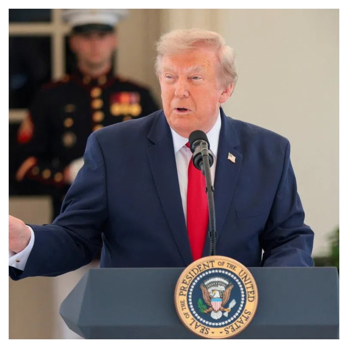 Trump 4.jpg