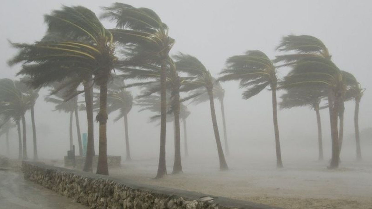 Windstorm .jpg