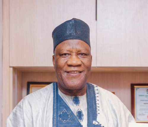 Yakubu Dashe gunya .png