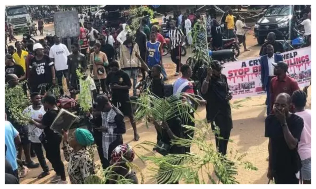 Benue killings.jpg