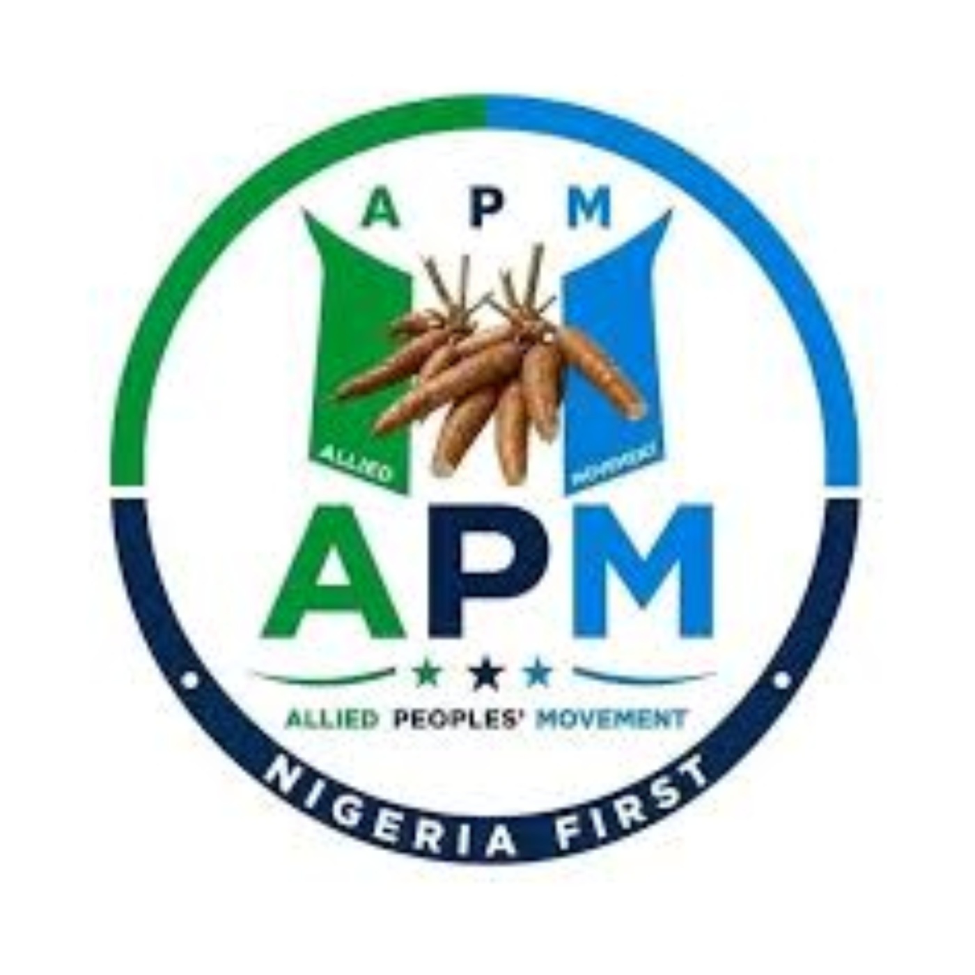 APM.jpg