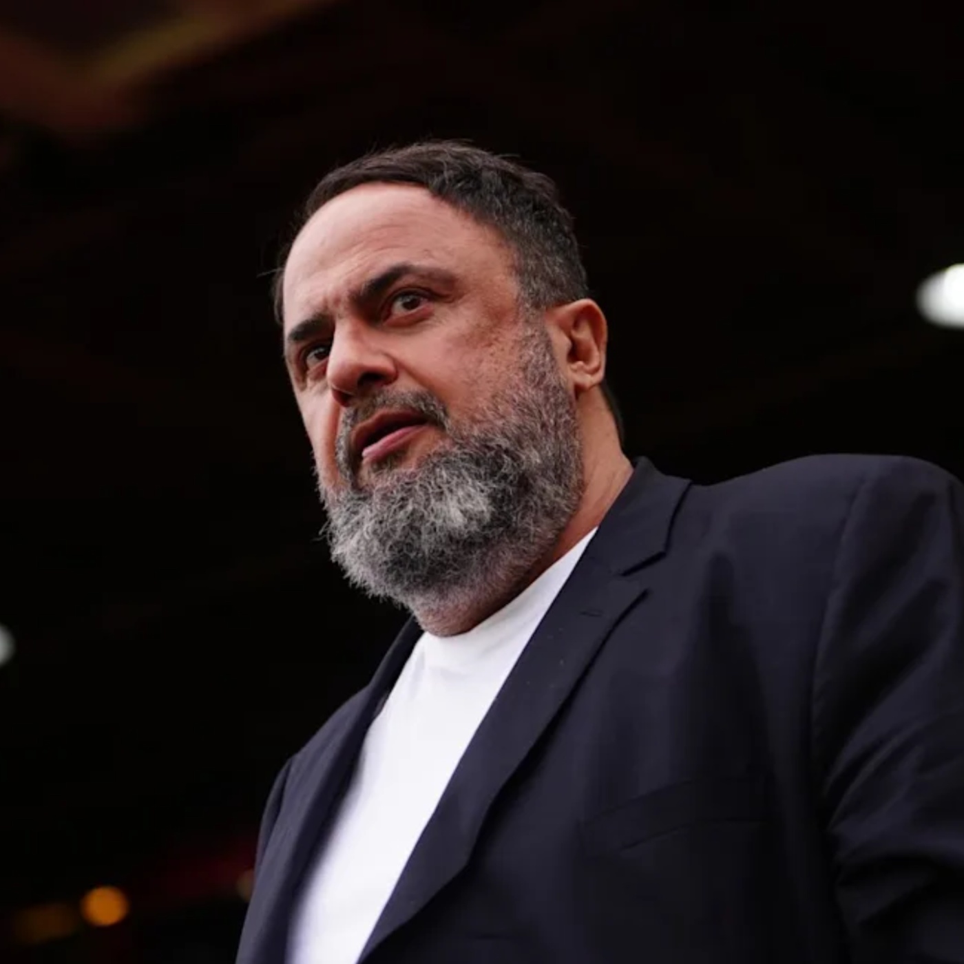 Evangelos Marinakis.jpg