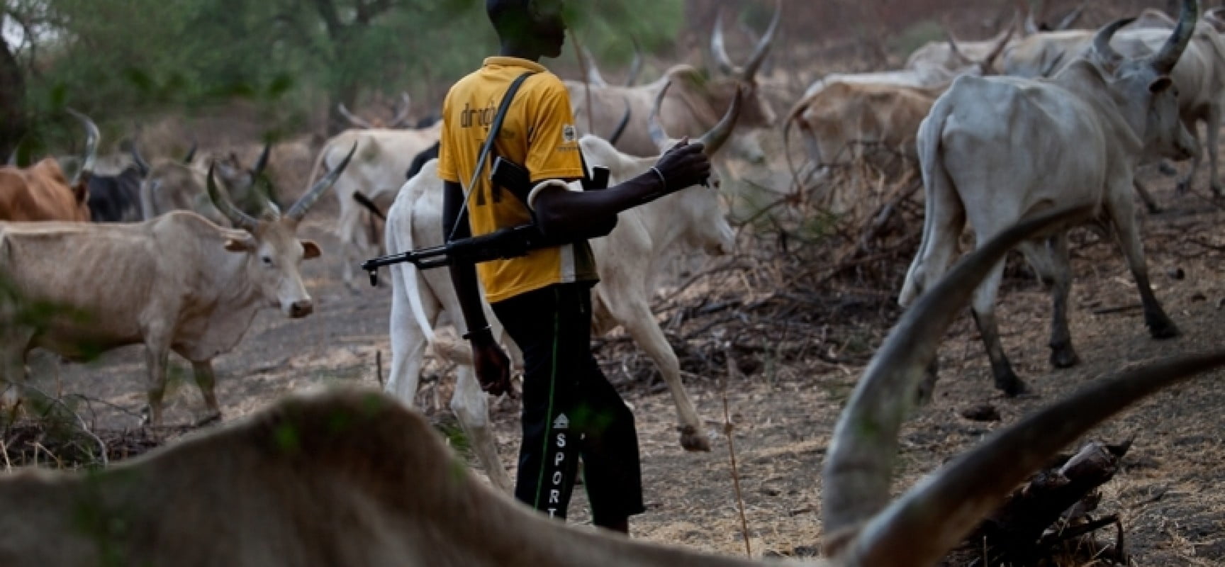 Herdsmen.jpg