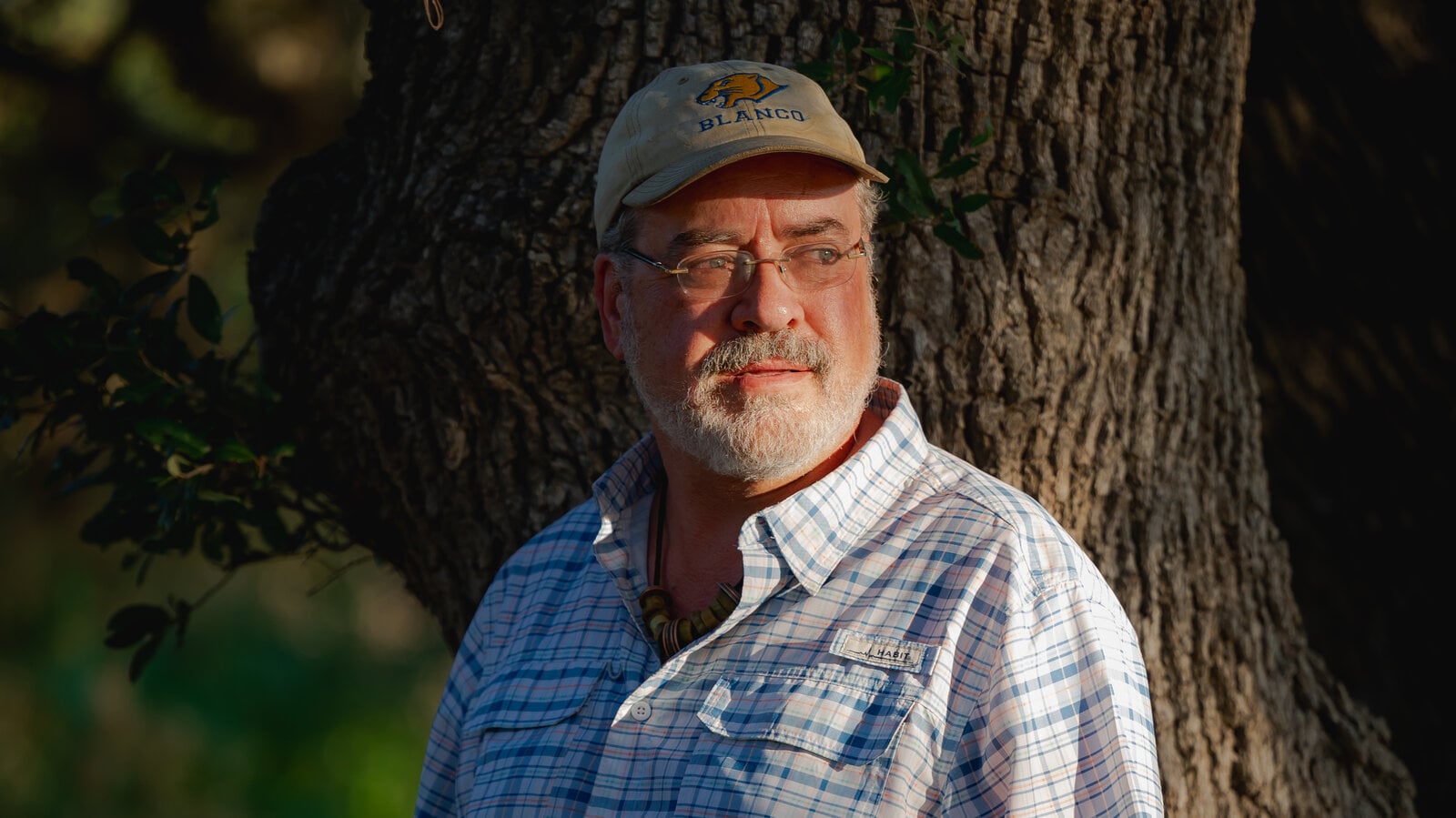 Mike Arnold.jpg